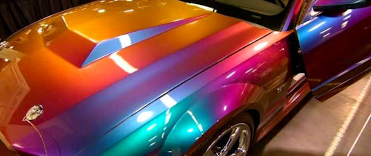 peinture-cameleon-au-maroc Peinture Caméléon au Maroc